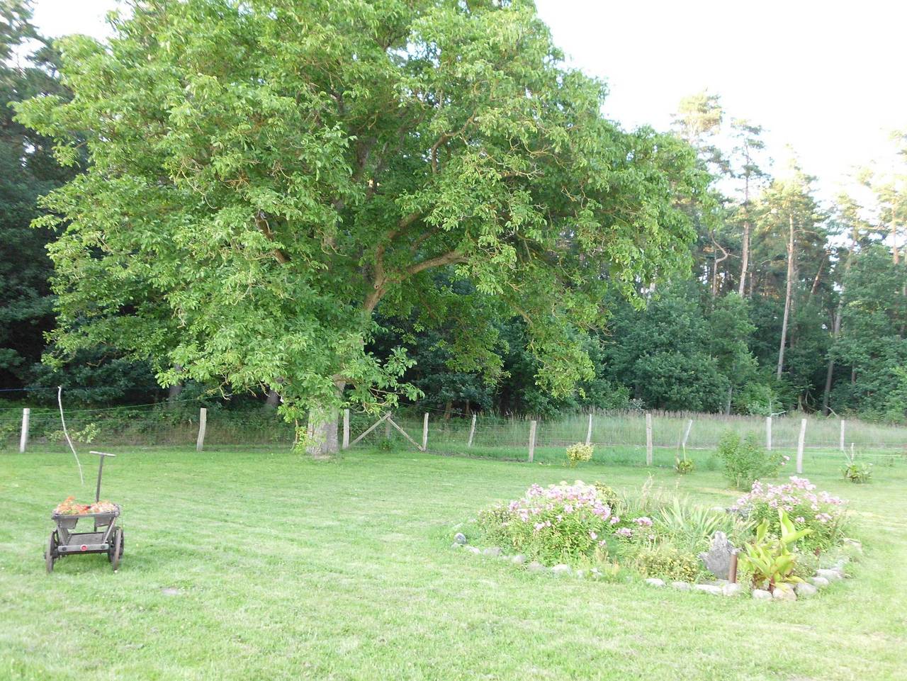 Ganze Ferienwohnung, Ferienwohnung am Amazonas des Nordens in Demmin, Mecklenburgische Seenplatte