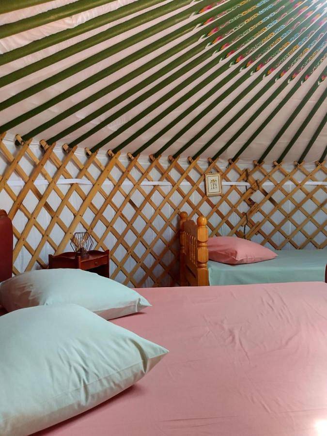 Tente pour 4 personnes, avec vue ainsi que jardin et piscine dans les Landes - 3