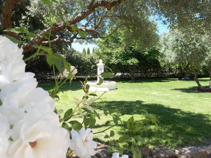 Chambre d’hôte pour 2 personnes, avec terrasse et jardin ainsi que vue et piscine à Gordes - 4