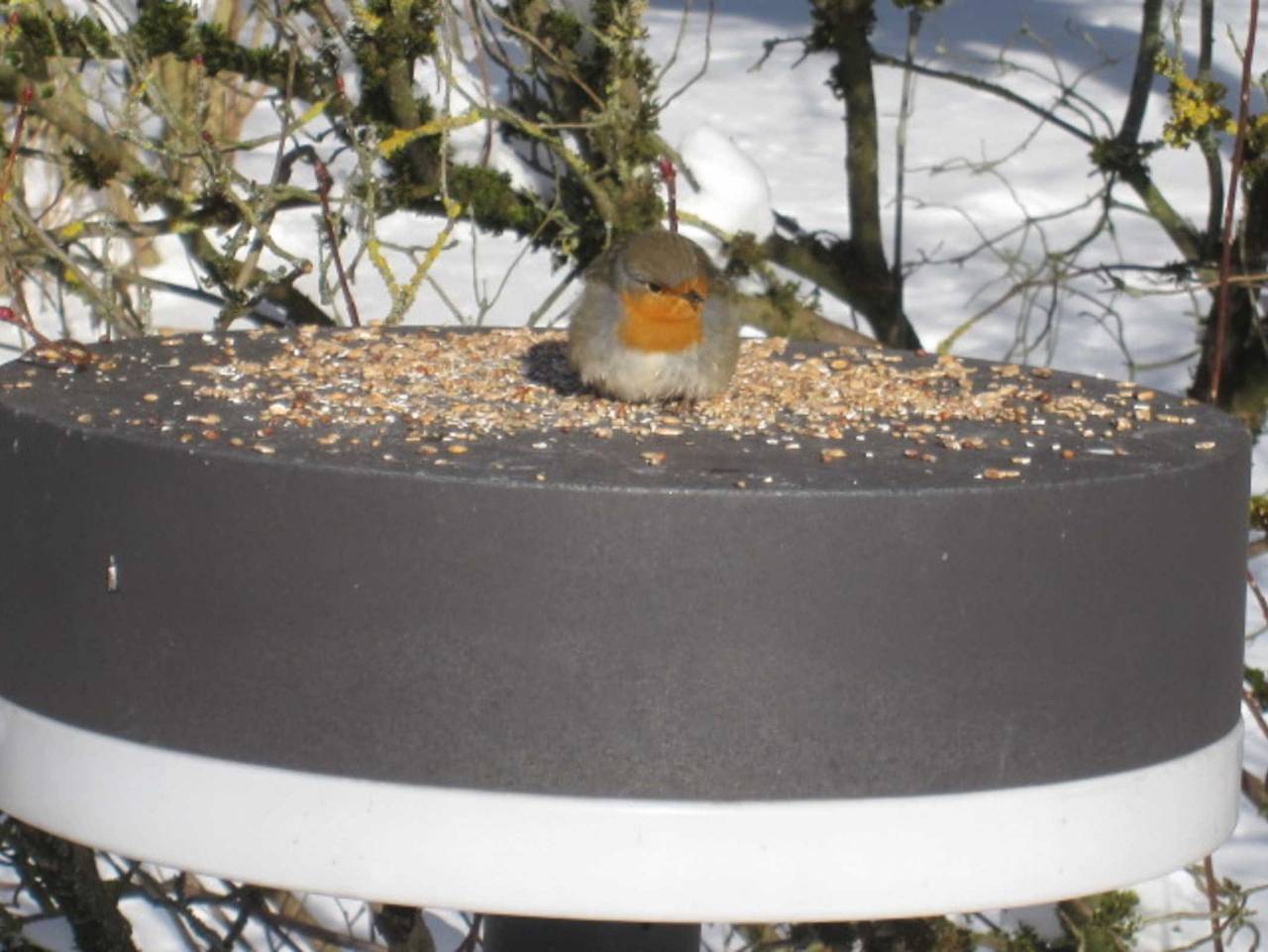 Ganze Ferienwohnung, Fewo Am Living Garden - Fewo Am Living Garden****, zentral in Bad Pyrmont, 1-4 Pers., 86qm in Oesdorf (Bad Pyrmont), Bad Pyrmont