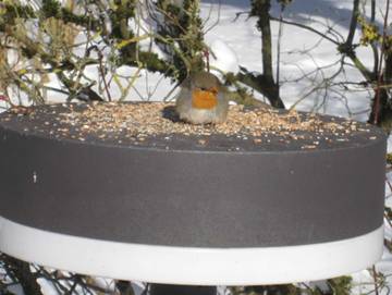 Ferienwohnung für 5 Personen in Bad Pyrmont, Weserbergland, Bild 4