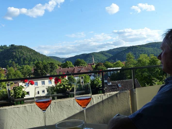 Studio für 2 Personen, mit Balkon, mit Haustier in Bad Harzburg