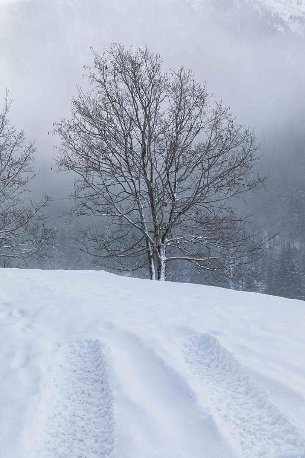 Chalet pour 2 personnes, avec jardin, animaux acceptés à Peisey-Nancroix - 3