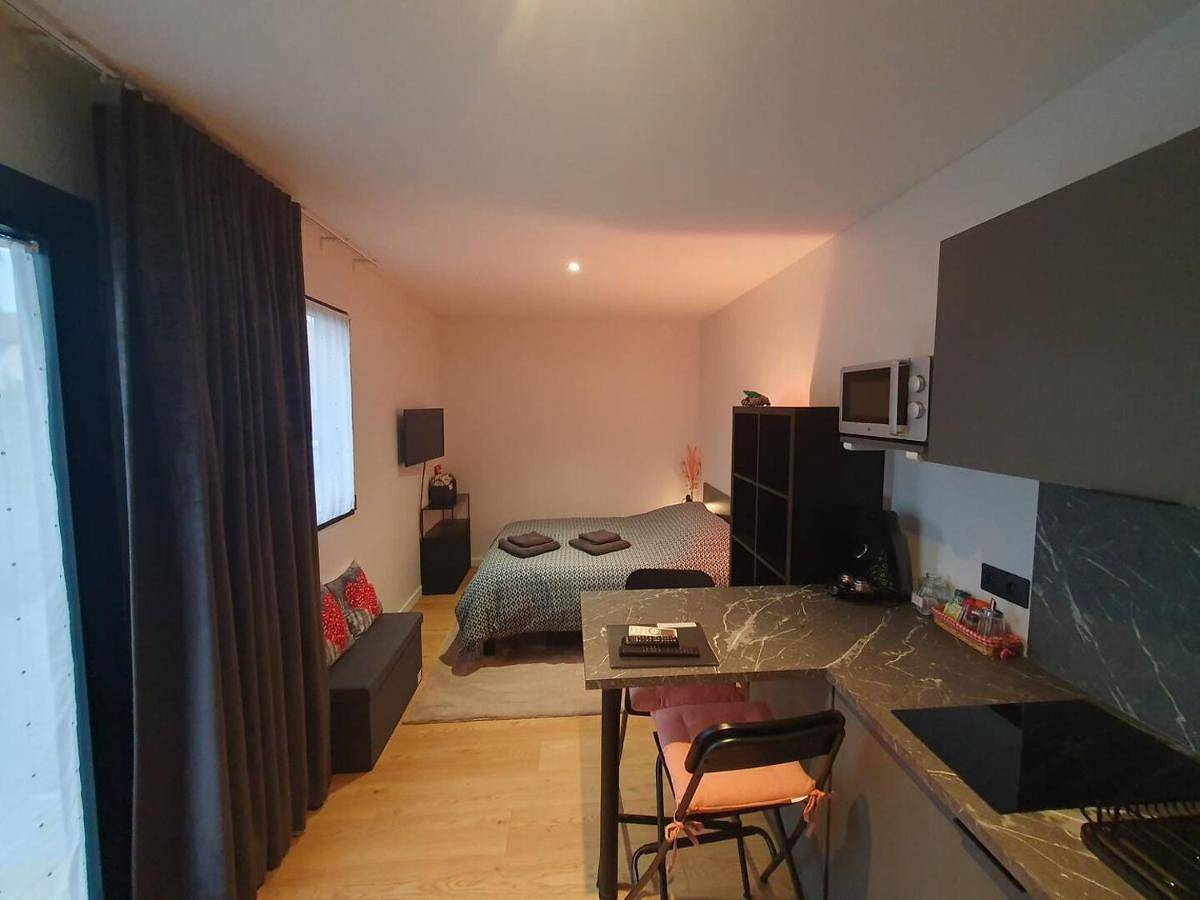 Appartement entier, Studio Les Deux Grenouilles 5mn de Colmar in Herrlisheim-près-Colmar, Région de Colmar