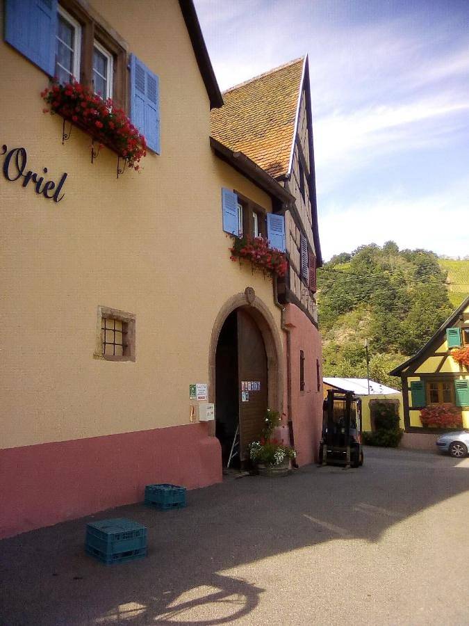 Gîte pour 3 personnes, avec jardin à Niedermorschwihr - 3