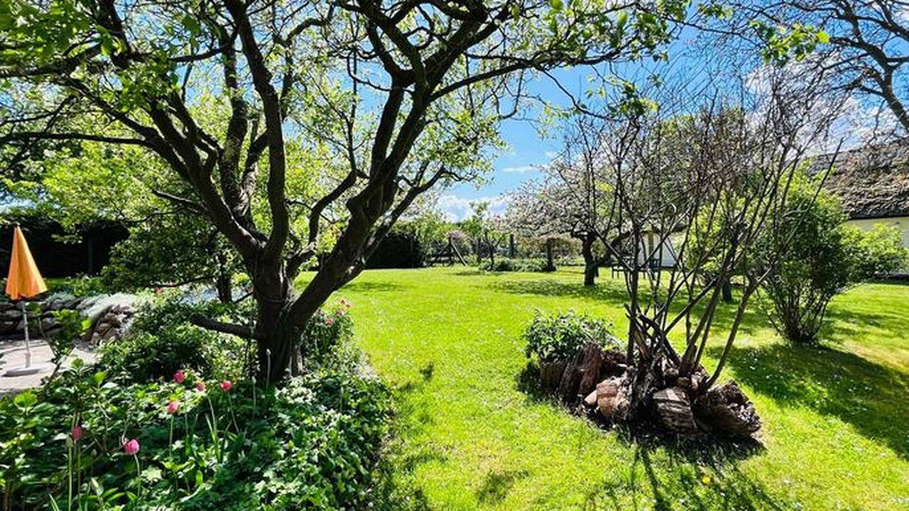Ferienhaus für 2 Personen (52 m²) in Lancken-Granitz (Rügen) in Neu Reddevitz, Lancken-Granitz