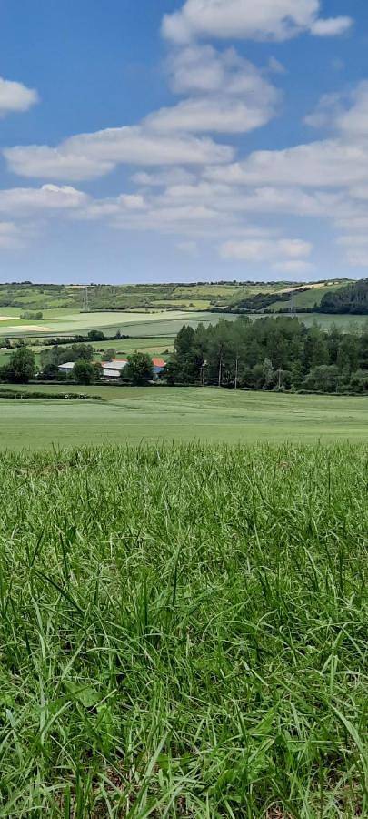 Location de vacances pour 4 personnes, avec jardin à Lottinghen