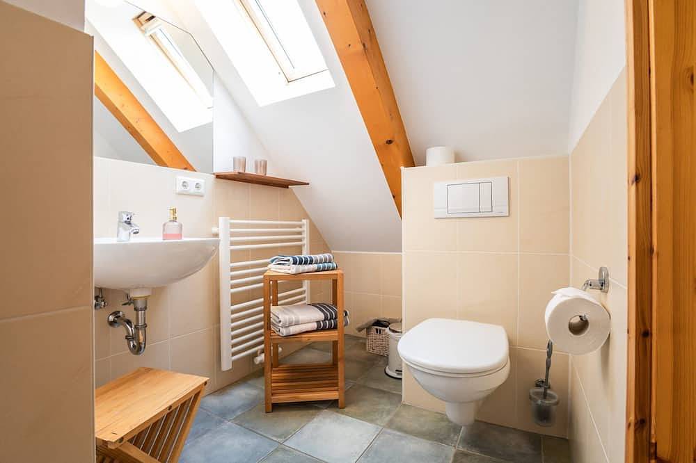 Ganze Wohnung, Studio im Haus Steinbach in Radebeul, Meißen Region