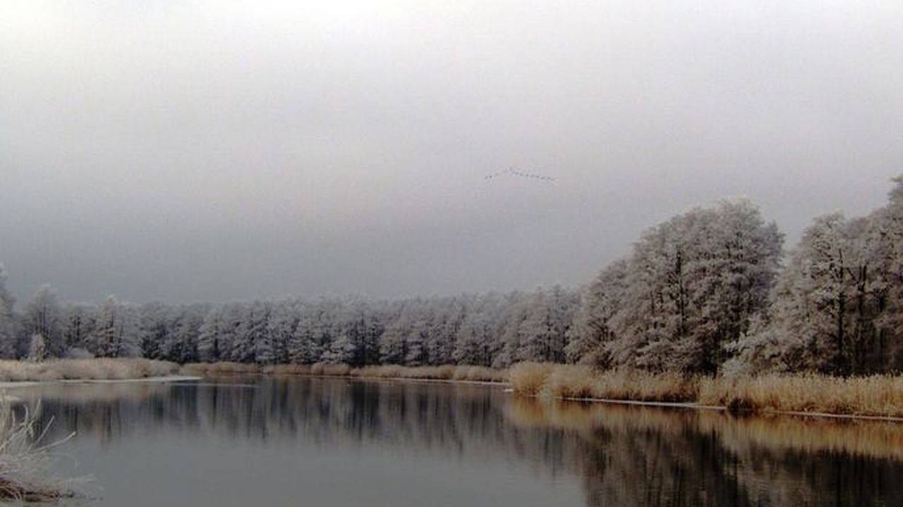 Doppelzimmer für 2 Personen (20 m²) in Neetzow in Liepen, Neetzow-Liepen