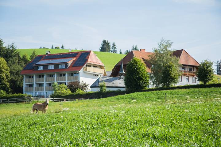 Landhotel Gasthaus Sonneneuhäusle - Nr. 31 - Komfort-Einzelzimmer mit Balkon in Neuhäusle (St. Märgen), St. Märgen