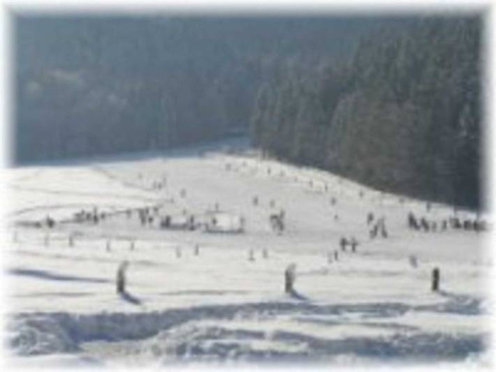 Hotel für 6 Personen, mit Balkon und Garten, kinderfreundlich in Alpenland Tegernsee Schliersee - 4