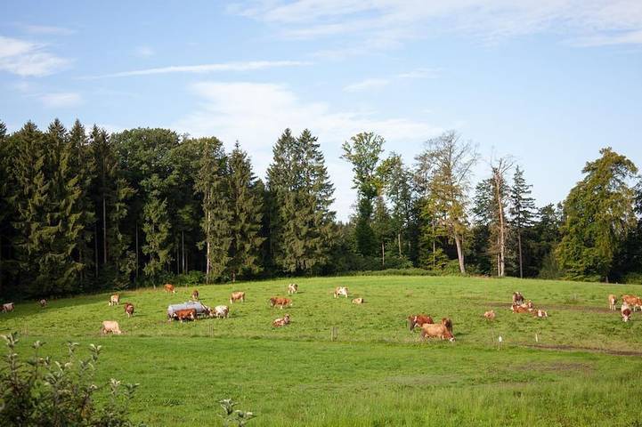 Agriturismo für 4 Personen, mit Garten am Starnberger See - 2