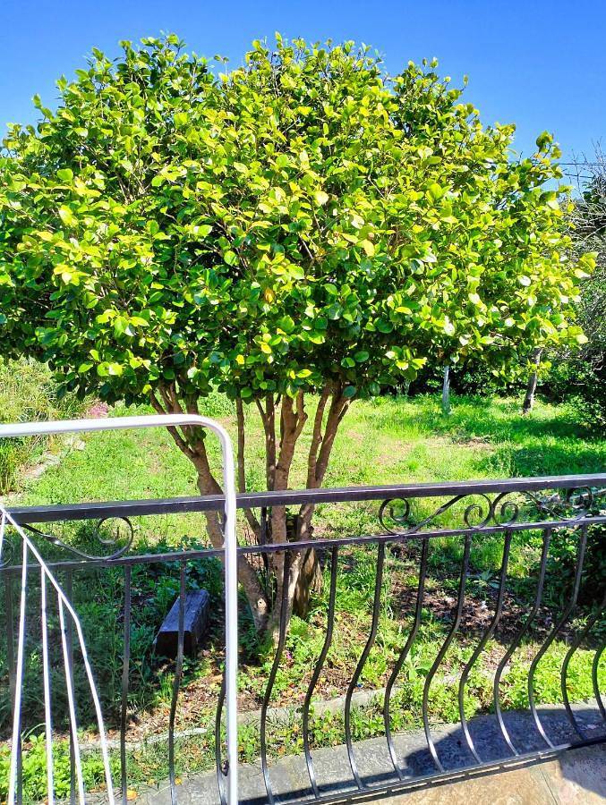 Location de vacances pour 4 personnes, avec vue et terrasse à Sisco - 2