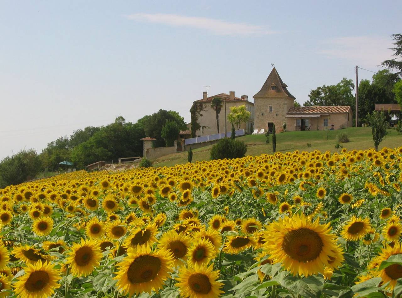 Gite du Pigeonnier de Peyrouton in Castéra-Lectourois, Gers