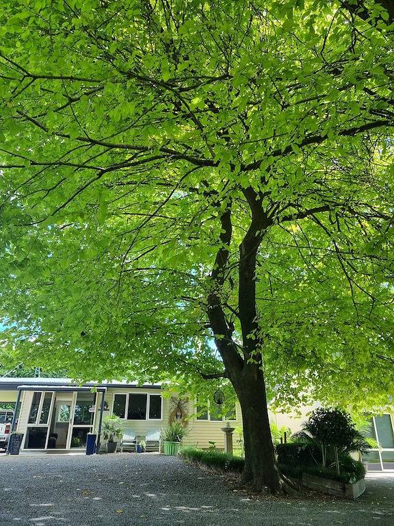 Ganze Wohnung, Erholen Sie sich in einer ruhigen ländlichen Umgebung im 'Country Bliss' in Western Bay of Plenty District