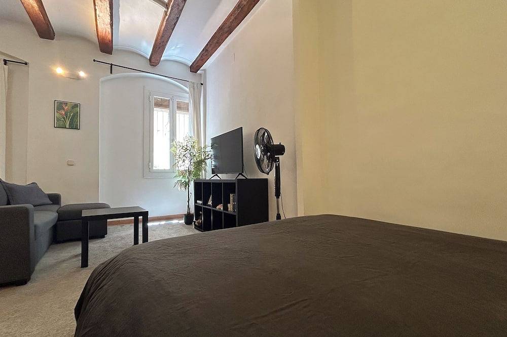 Spacious 1850 Raval 46m Loft. Ideal for Couples and Digital Nomads. Pet-Friendly in Barcelona Centre, Barcelone