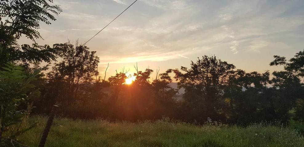 Chambre d’hôte pour 4 personnes, avec piscine et jardin ainsi que terrasse et vue, animaux acceptés en Savoie - 4