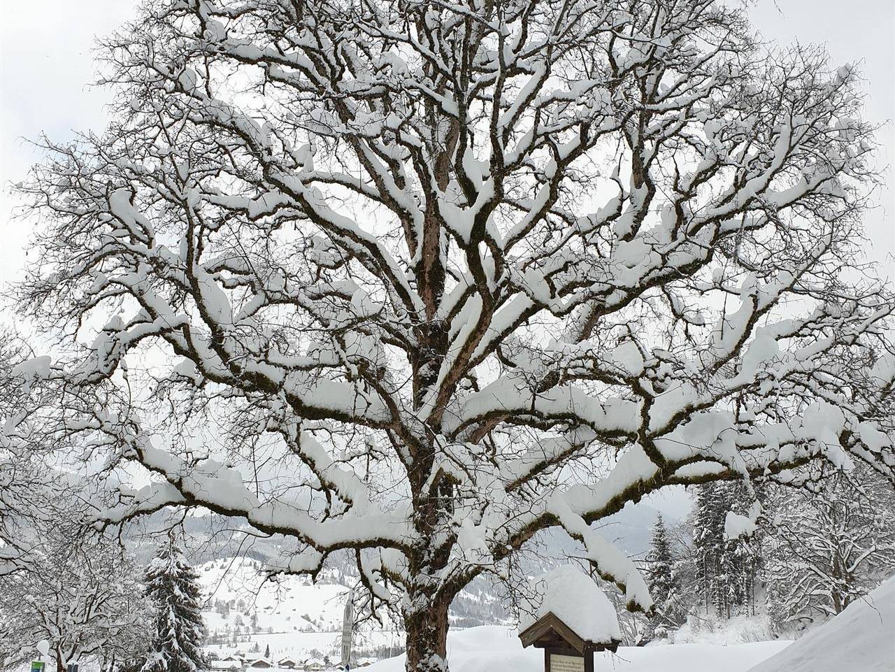 Ganze Ferienwohnung, Gasthof Stern - Ferienwohnung Schlüsselblume in Unterammergau, Bayerische Alpen