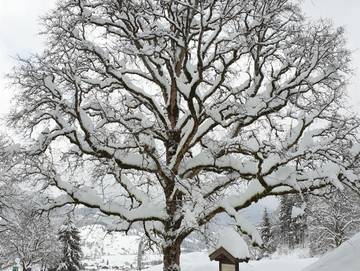 Ferienwohnung für 9 Personen in Unterammergau, Bayerische Alpen, Bild 4