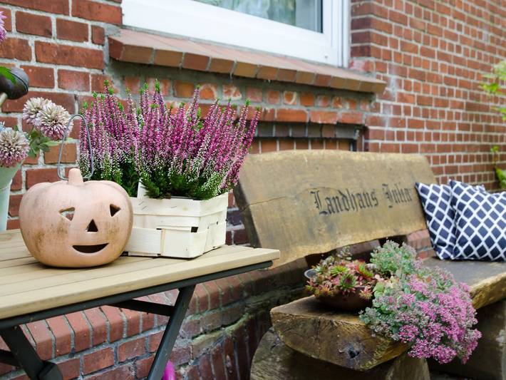 Ferienhaus für 15 Personen, mit Terrasse und Garten in Moormerland - 4