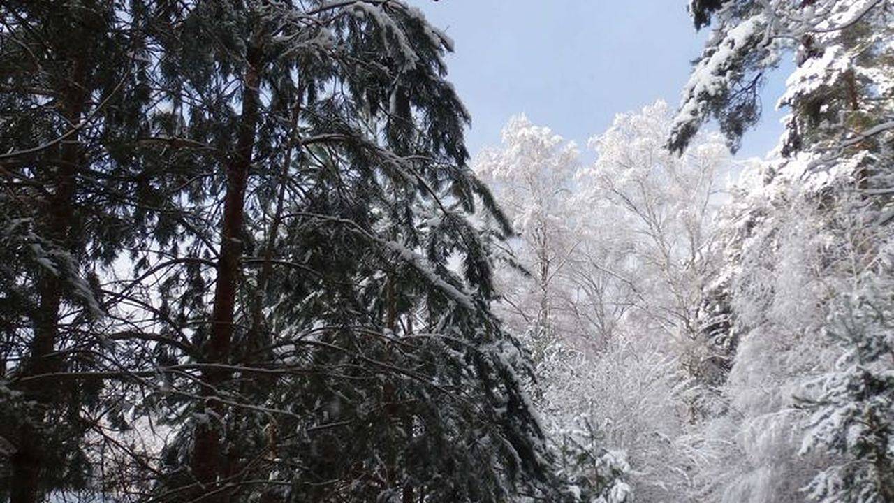 Ganze Ferienwohnung, Ferienwohnung für 4 Personen (40 m²) in Lychen in Himmelpfort, Uckermark
