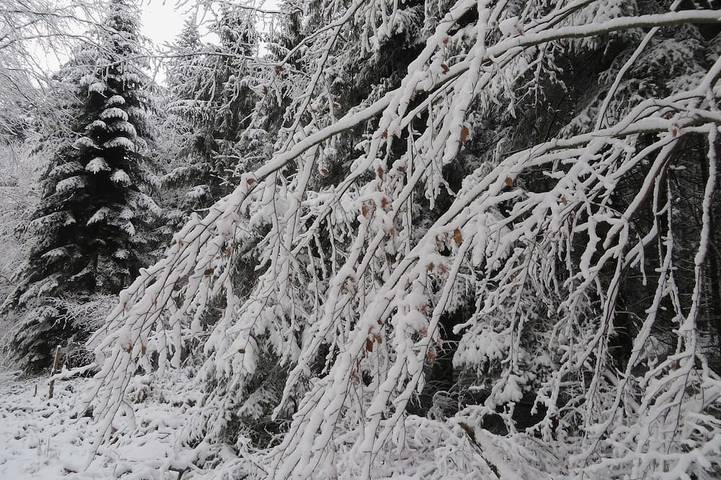 Ferienwohnung für 4 Personen in Europa-Park