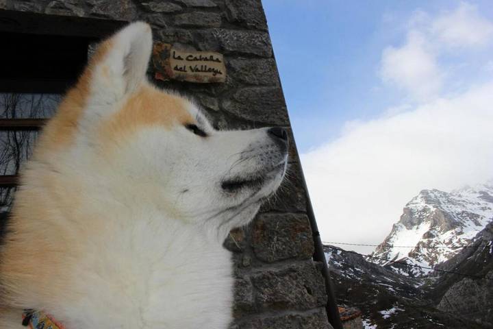 Location de vacances pour 3 personnes, avec jardin et vue, animaux acceptés dans Sotres - 4