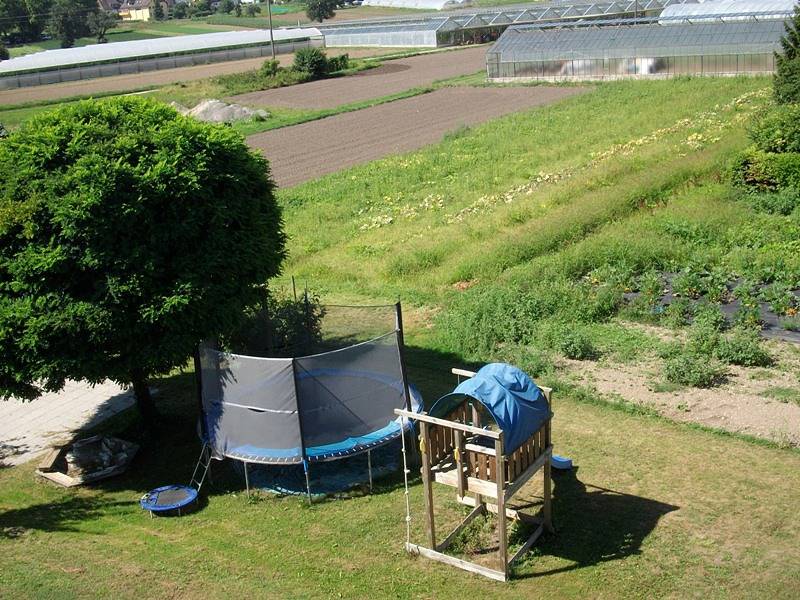 Ganze Ferienwohnung, Ferienwohnungen Claudia u. Werner Keller - 2,5-Zimmer-Fewo, Dachgeschoss, 55 m² in Reichenau, Untersee