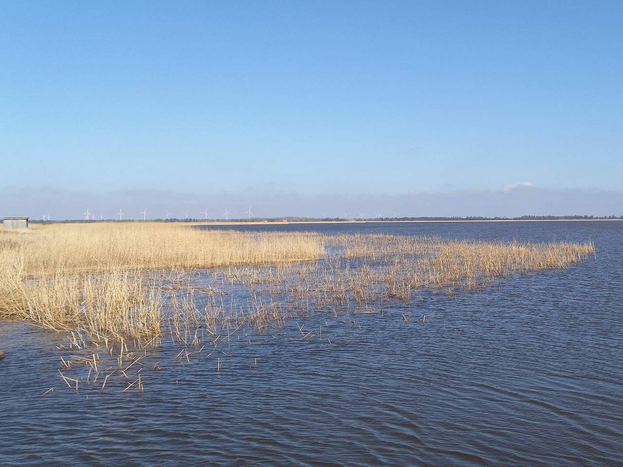Charmantes Dorfrefugium in Husby (Dänemark), Nissum Fjord