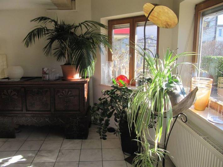 Pension für 2 Personen, mit Garten und Terrasse in Landkreis Lindau - 2