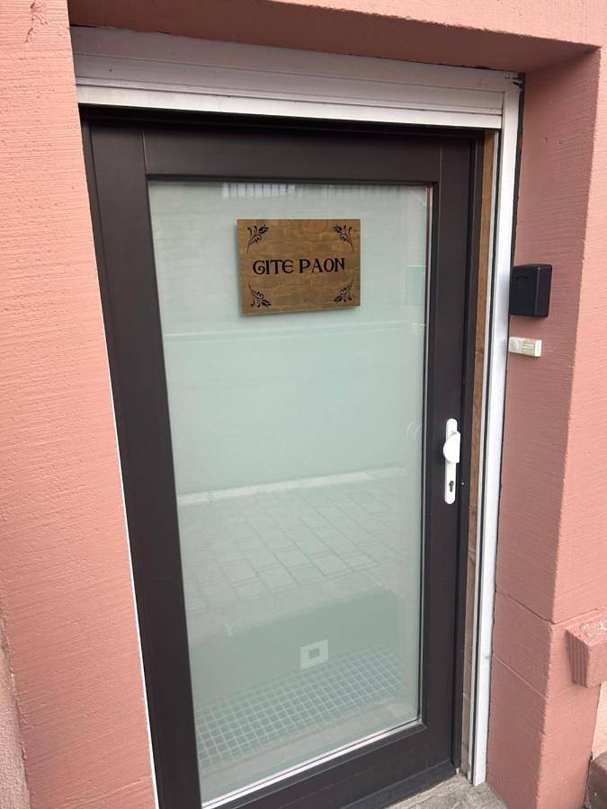 Gîte pour 3 personnes, avec vue, animaux acceptés à Kintzheim - 3