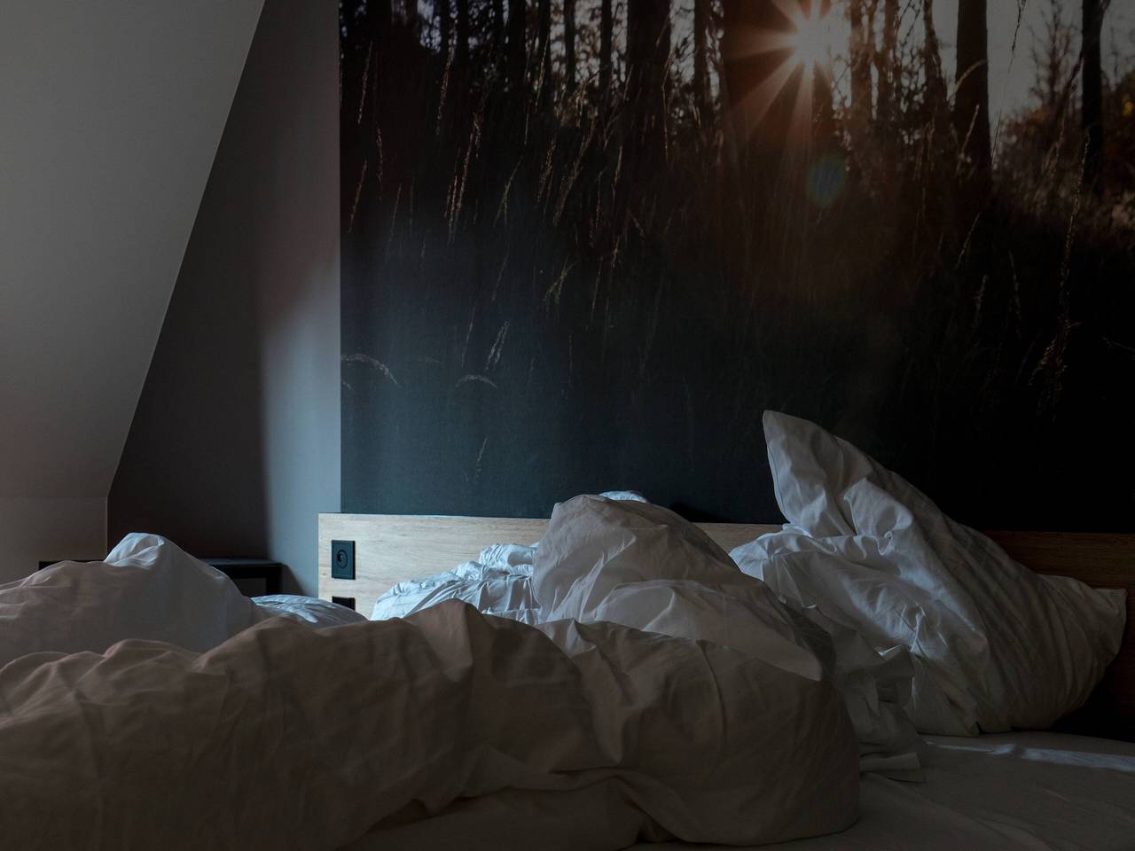 Hotel Schwarzwälder Hof - Doppelzimmer Münzgasse in Freiburg, Südschwarzwald