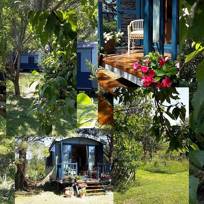 Gîte pour 3 personnes, avec jardin ainsi que terrasse et piscine à L'Isle-sur-la-Sorgue - 4