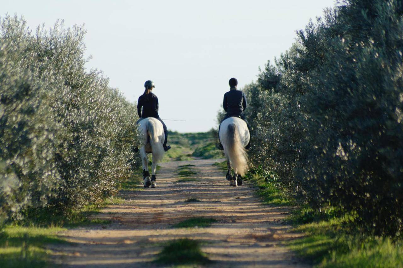 Herdade dos Salgados do Fialho in Sé (Faro), Faro (Portugal)