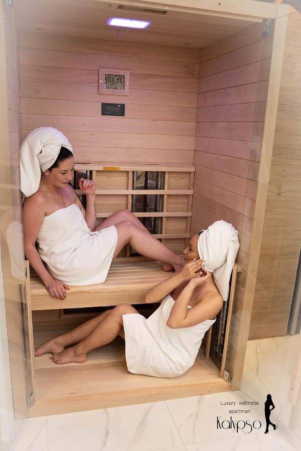 Gîte pour 4 personnes, avec jacuzzi et terrasse ainsi que piscine et sauna à Osijek - 4