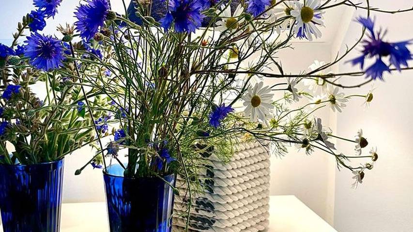 Ferienhaus für 4 Personen, mit Terrasse und Garten in Wismarer Bucht - 3