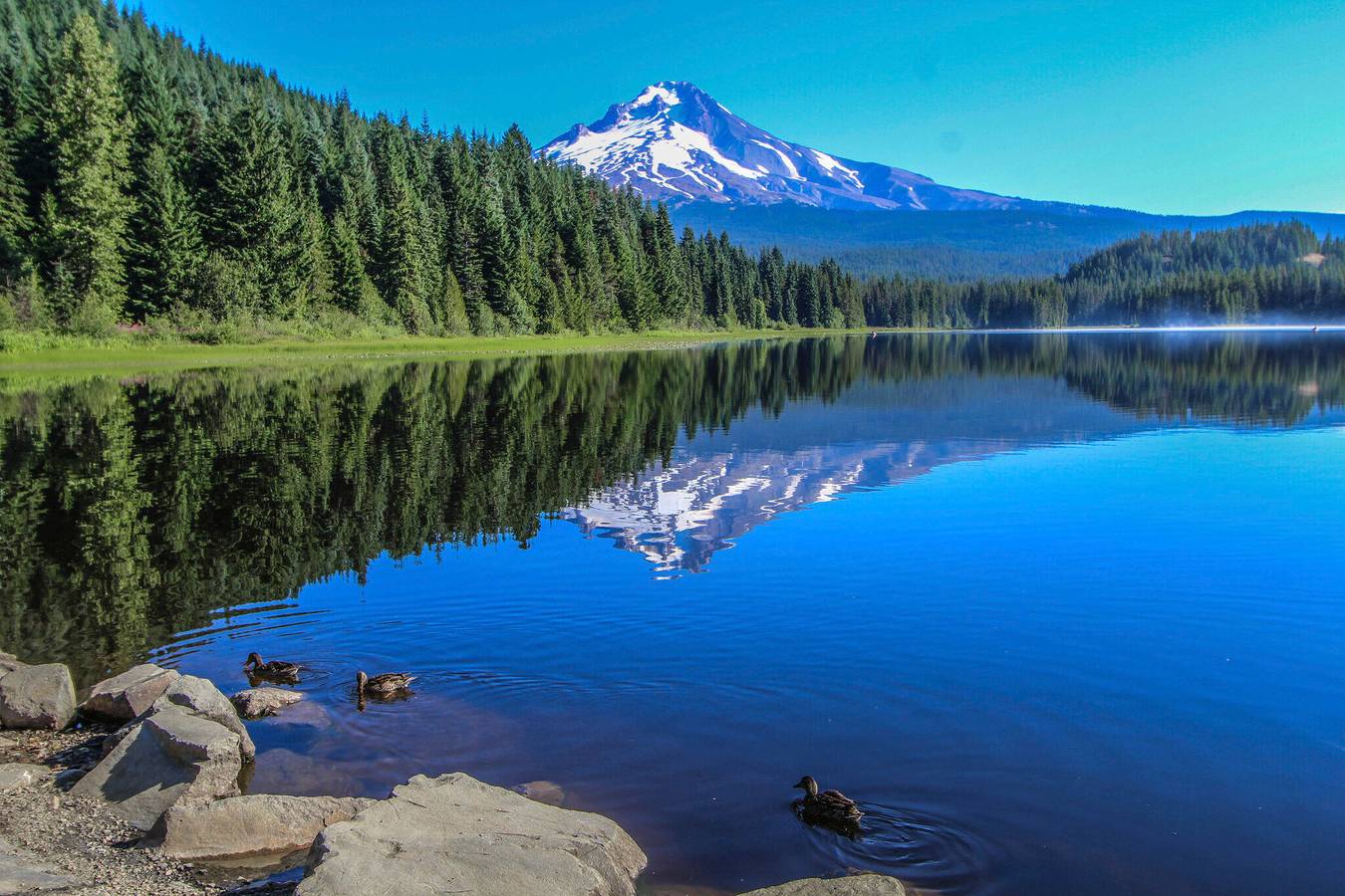 Whispering Woods I in Welches, Mount Hood