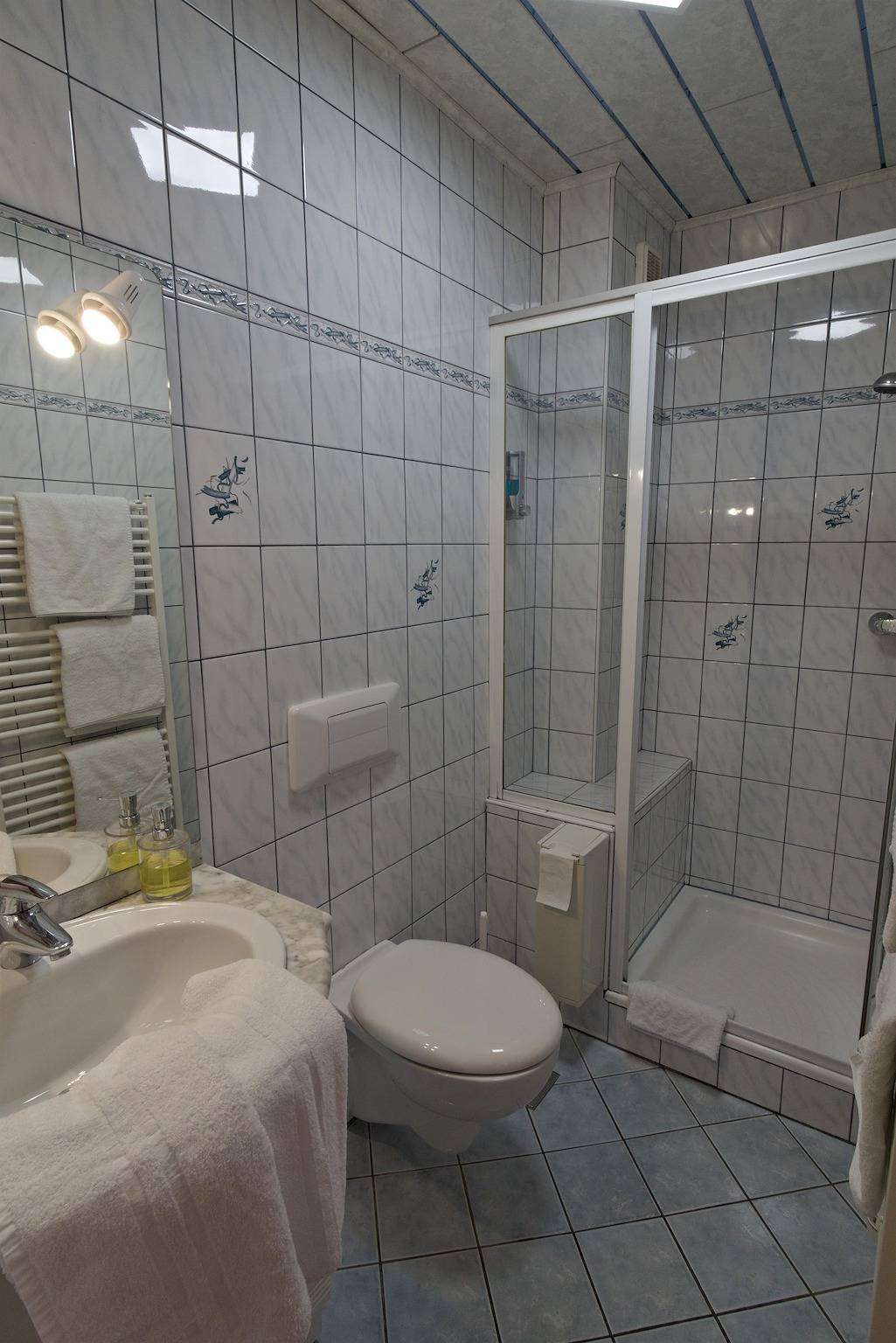 Hausfeld room with breakfast (short duration) in Landl, Gesäuse