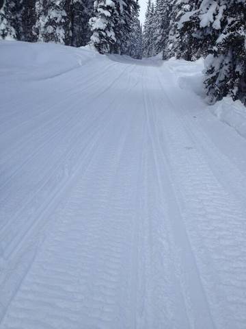Villa for 7 Guests in Steamboat Springs, Routt National Forest, Picture 4