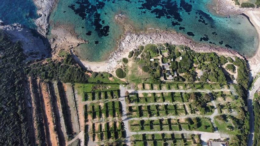Bungalow für 4 Personen, mit Kinderpool und Garten sowie Pool, mit Haustier in Süd Sardinien - 2