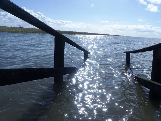 Ferienhaus für 6 Personen, mit Terrasse und Garten, mit Haustier an der Wurster Nordseeküste - 2