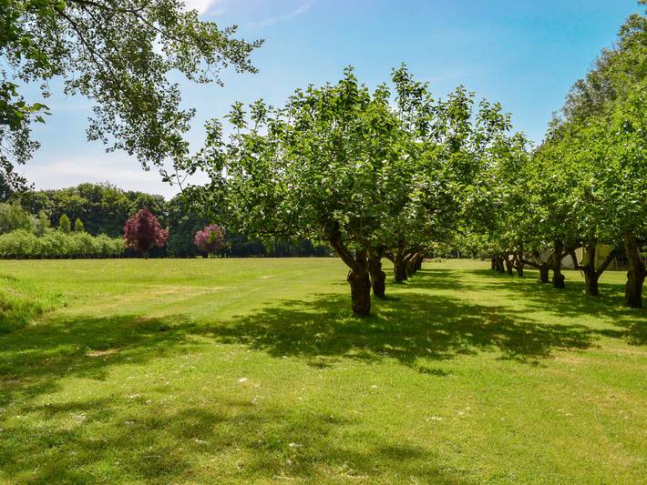 Deer Cottage 1 Uk39330 in Biddenden, Ashford region