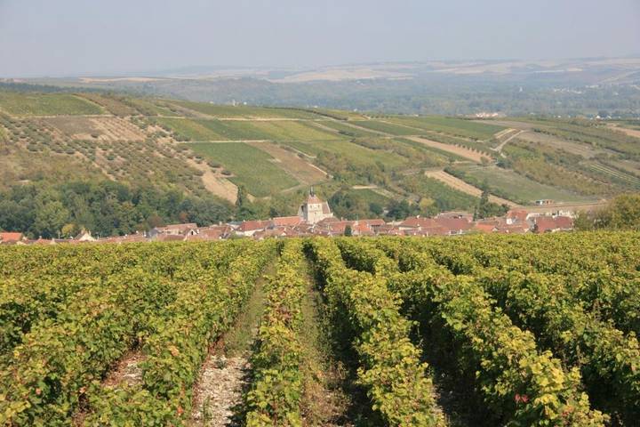 Location de vacances pour 3 personnes, avec jardin et piscine, animaux acceptés à Escolives-Sainte-Camille - 2