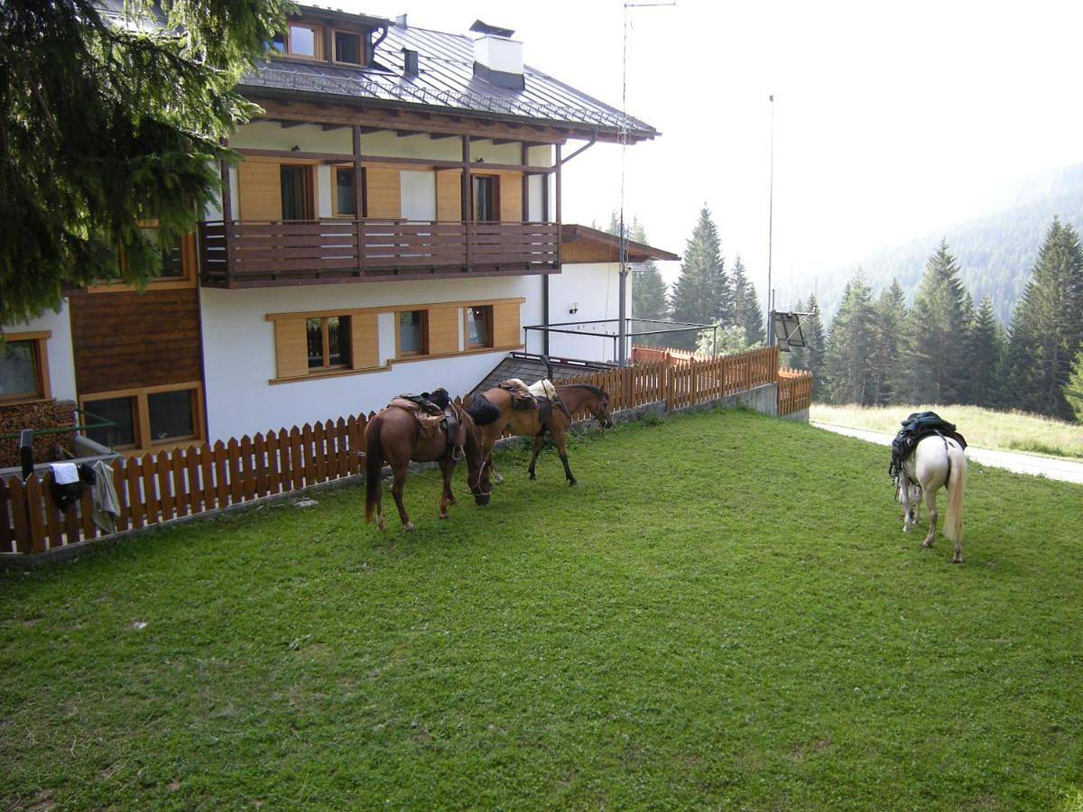 Hotel Piccolo Pocol in Cortina d'Ampezzo, Dolomiti Superski