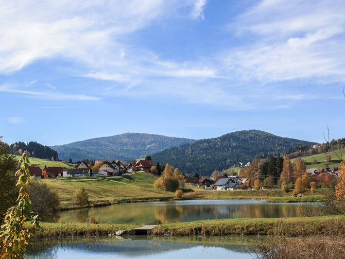 Ferienhaus für 11 Personen, mit Terrasse und Garten sowie Sauna und Ausblick in St. Lambrecht - 3