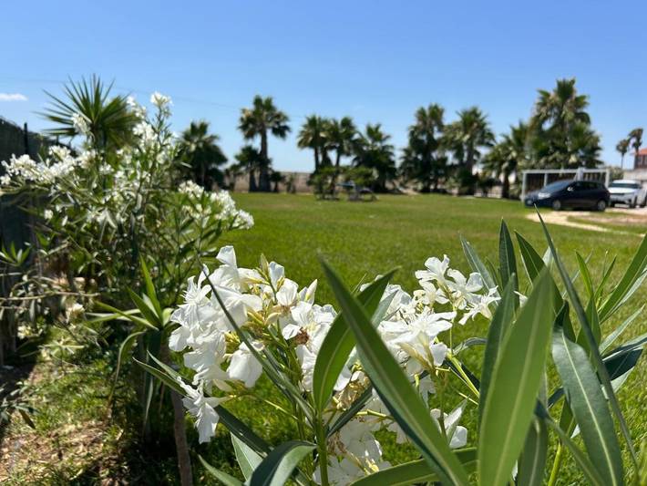 Villa per 4 persone, con giardino e balcone nonché panorama in Trinitapoli
