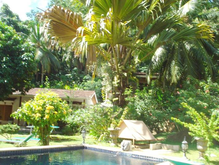 Villa pour 3 personnes, avec jardin et vue, animaux acceptés aux Seychelles - 3