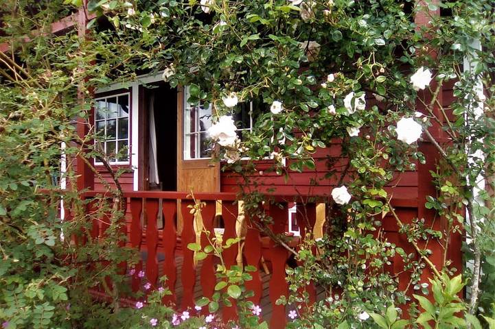 Ferienhaus für 3 Personen, mit Garten - 1