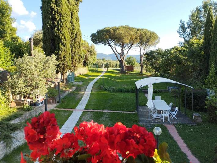 Chambre d’hôte pour 3 personnes, avec piscine ainsi que jardin et vue, animaux acceptés à Arezzo - 3