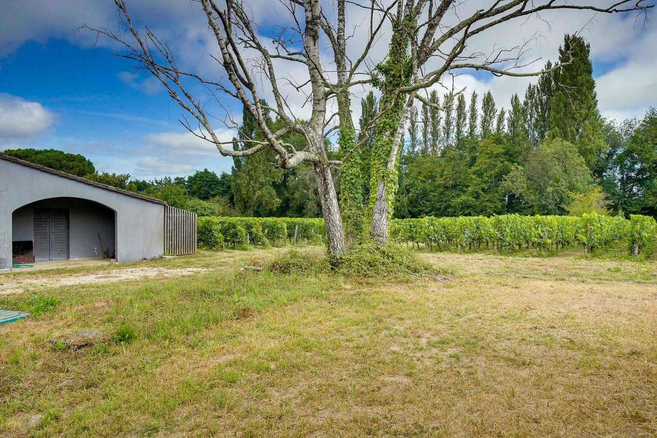 Maison neuve à proximité immédiate de St Emilion in Néac, Région de Libourne